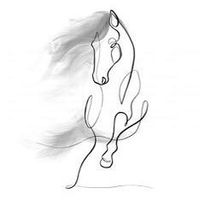swe.equistrain