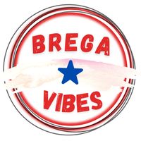 bregasvibes