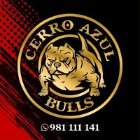 pierrealonsovaldivia