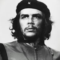 rilenamodriguez