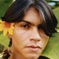 jsbrunofelix