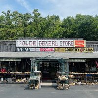theoldegeneralstore