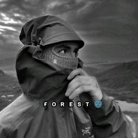 forest_gold_ua