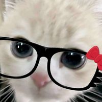 lolita69013