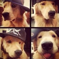 Armed and ready by Campthehills