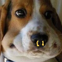 nanavidom5