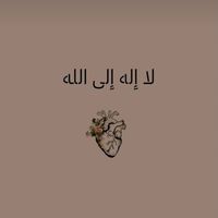 qyzgaldaq_m