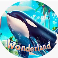 wonderland.maracaibo