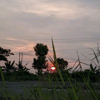suara asli - ᴄʀᴇᴀᴛᴏʀ_ᴍʟʙʙ