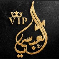 absi_vip22