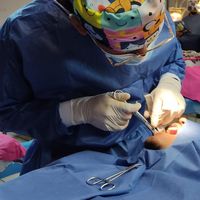 odontofitconk