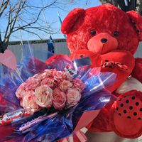 lule.natyrale.rezearta