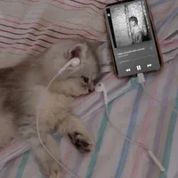 AND GOD KNOW IM NOT DYING BUT I BLEED NOW