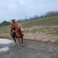 original sound - juangui1992