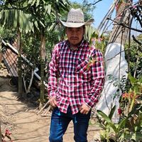 sonido original