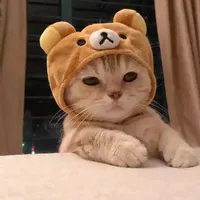 original sound - zan3787