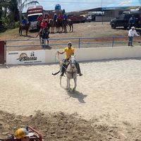 .gutierrez.05