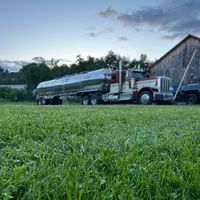 american_not_americant