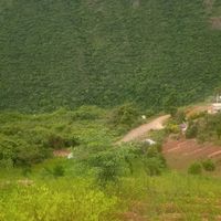 dilancusi