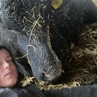 animalfarmer94