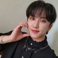 chi usa questo audio stanna gli stray kids