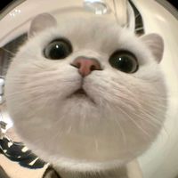 mydiaryp0