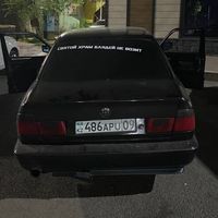 pizdator666