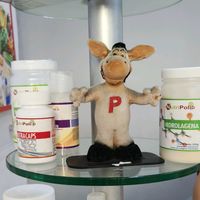 tienda.ipn