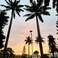 funerariacaminoalapaz