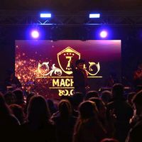 grupo7machos