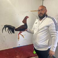 josediego023