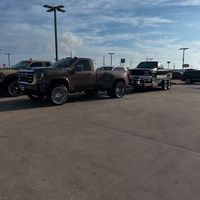 alaniz281