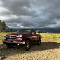 z71.pedro