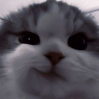 เสียงต้นฉบับ - BUMBLEBEE