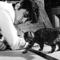 الصوت الأصلي