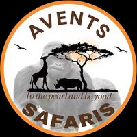 avents.safaris