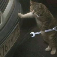suara asli - Salmonnn