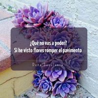 yeseniadevillanue