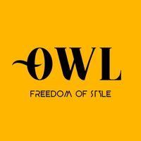 owl_design_dz1
