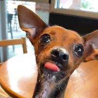 original sound - hotrod552