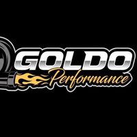 goldo_performance