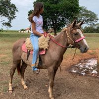 amandinha_uai6