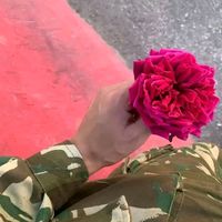 faresfares56