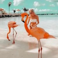 lovinqxsky_