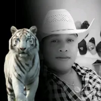 original sound - oswald02007