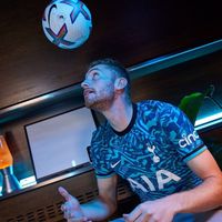 theswedishmessi