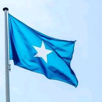 dalmar_____aadan_____ali