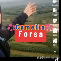 suara asli - 💞C A M E L I A💞