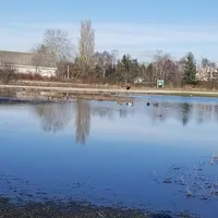 original sound - musictomylife1