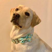 emmathedogbf